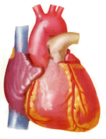 diagnosis of athetosclerotic disease