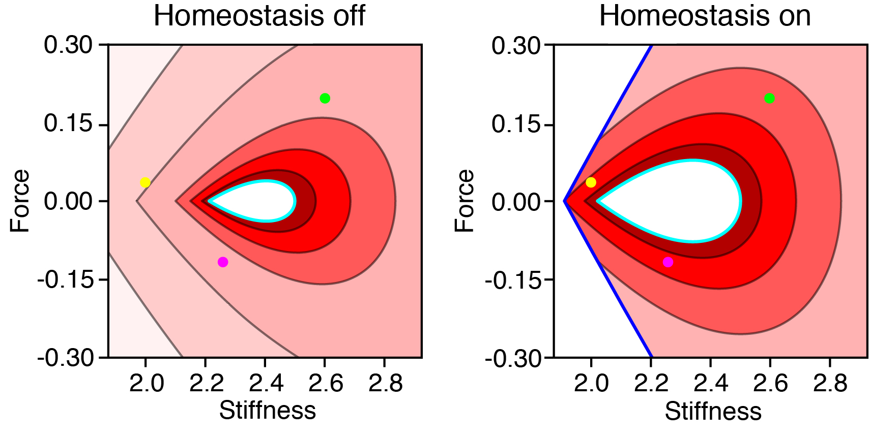 Homeostasis