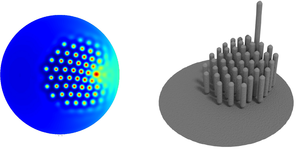 Reaction-diffusion model