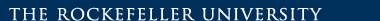The Rockefeller University