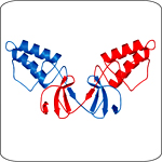 Crystal structure of the HCV NS2 protease domain shows a dimer with an unusual composite active site.