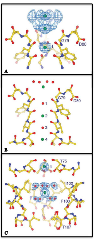 KCsAHR2